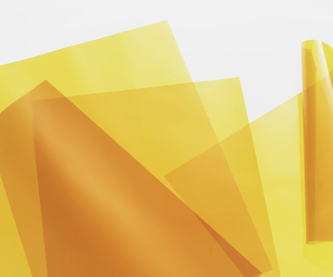 Solvent Casting 제막 기술